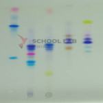 Principles of Thin Layer Chromatography Kit